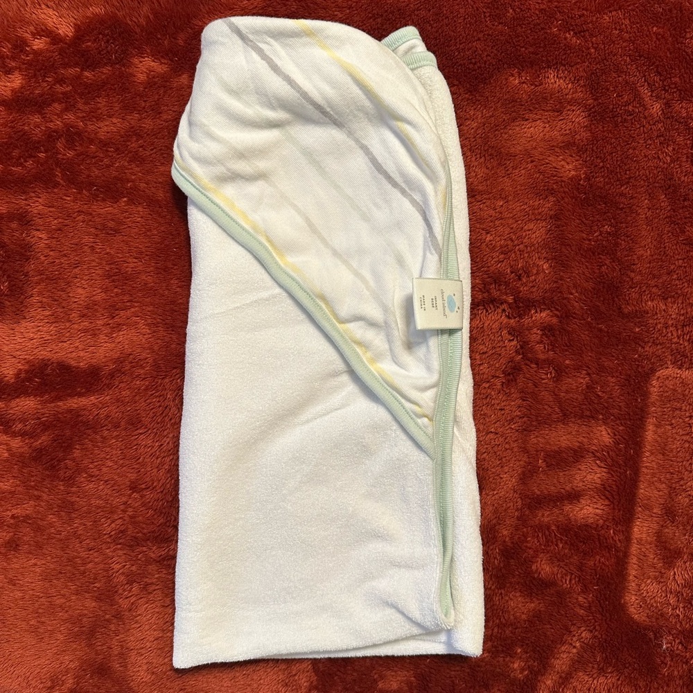 2 Cloud Island Baby Boy Hooded Towels